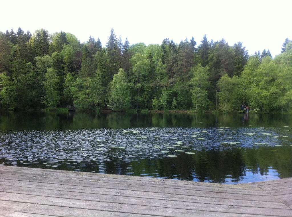 Picture of a lake in Tyresta